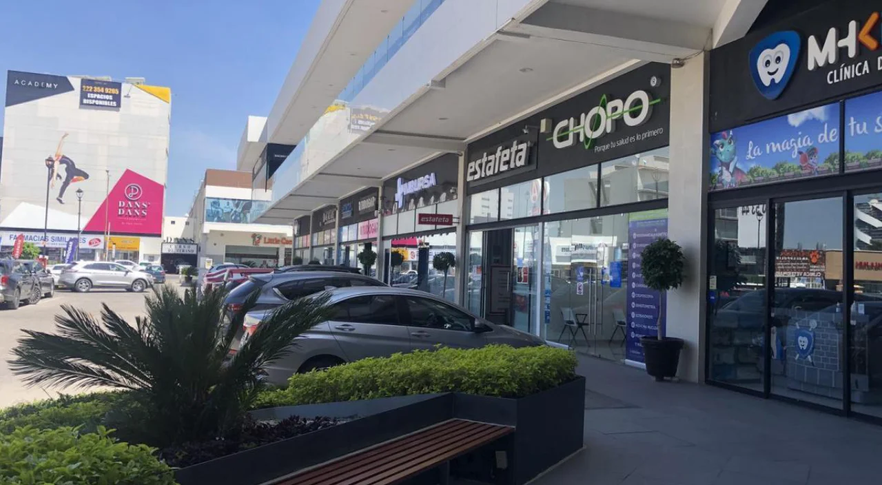 Local 101 Plaza Vía Lomas - foto 1