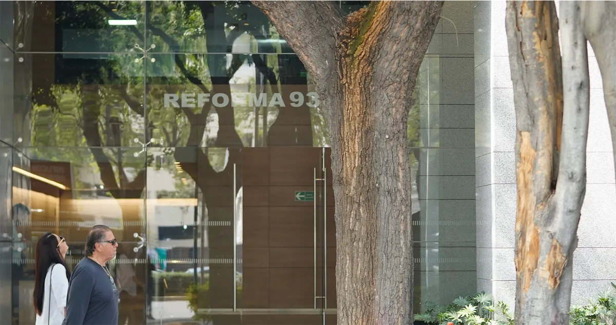 Oficinas Reforma 93, CDMX – Oficina 181 M2 - foto 4